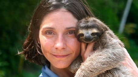 A Sloth Named Velcro