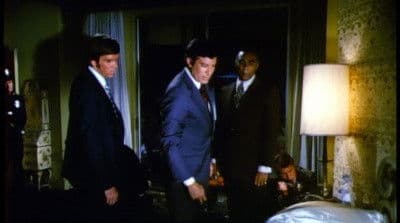 Bad Cats and Sudden Death