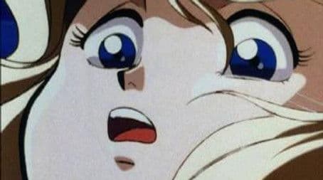 Sherwood Forest is full of mysteries