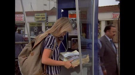 Rabbits on the Runway