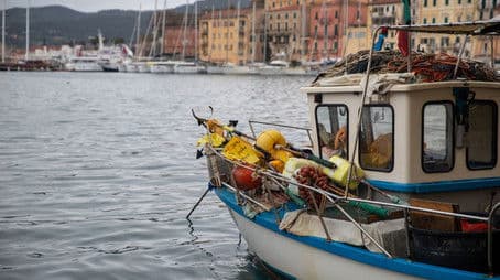 "Damocles" Anniversary-Season Episode 6