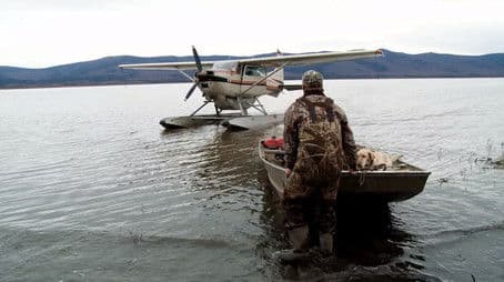 The Water's Edge: Waterfowl in Alaska
