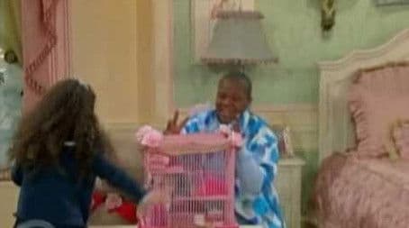 A Rat by Any Other Name