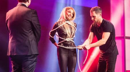 Quick Changes, the Bird King, and Very Sharp Objects