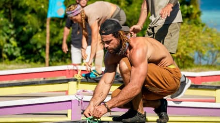 Caterpillar to a Butterfly