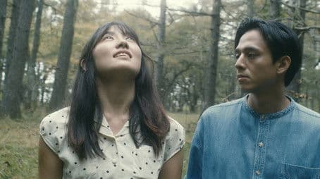 Into the Loveless Forest