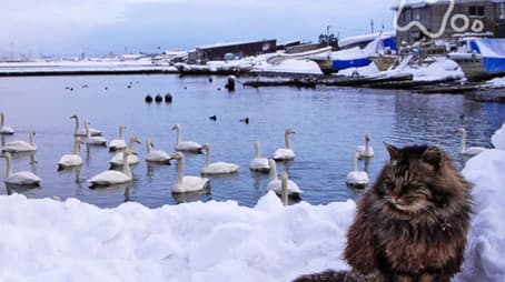 The Four Seasons: Fall & Winter Special