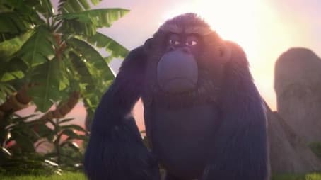 Beware of the Gorilla