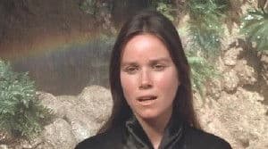 Besieged (2): Cannon At The Gates