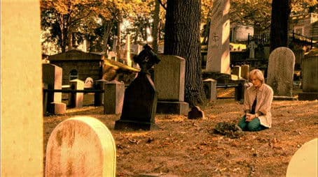 There's No 'We' Anymore