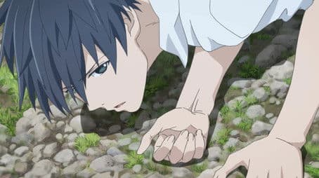 Cat, Ghost, and Revolution Sunday 2/2