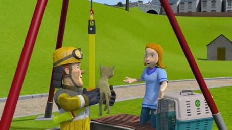 Who Let the Cat Out?