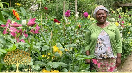 Compilations 2024: Episode 1