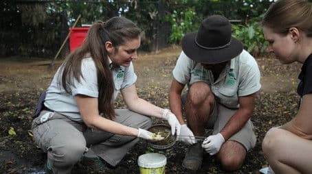 Who's Poo in the Zoo