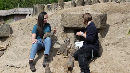 Summer 2024: Episode 3