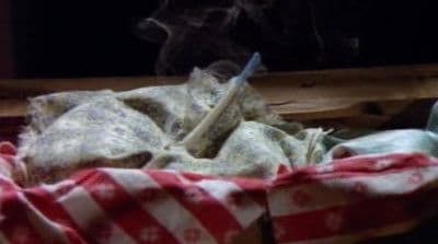 May We Make Them Proud, Part 1