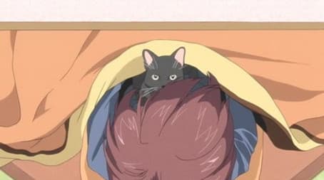 'Dumplings Rather than Flowers' Age