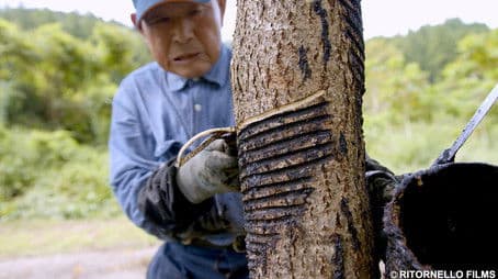 A Treasured Creation: The Bond with Urushi, Japanese Lacquer