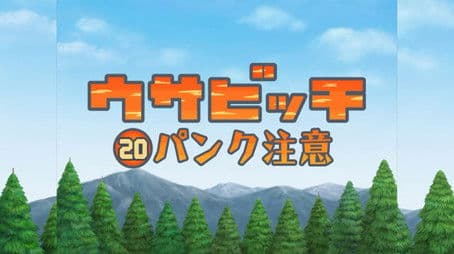 Watch for Punctures (パンク注意)