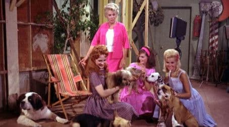 The Dog Turns Playboy