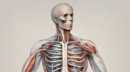 Viaggio insolito nel corpo umano