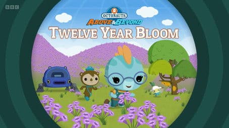 Twelve-Year Bloom