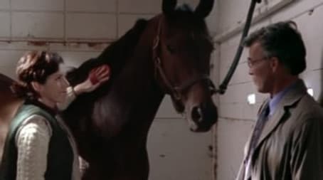 You See How It Begins?