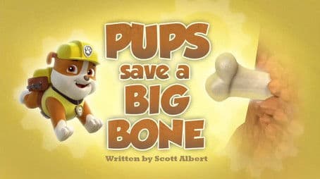 Pups Save a Big Bone