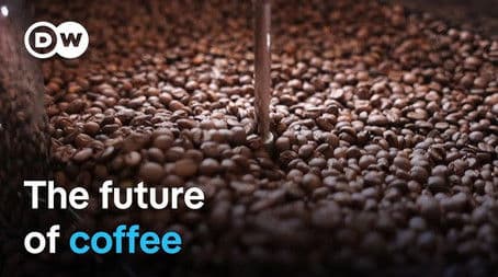 How climate change threatens coffee production