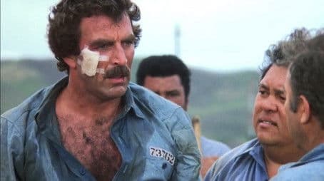 A Pretty Good Dancing Chicken