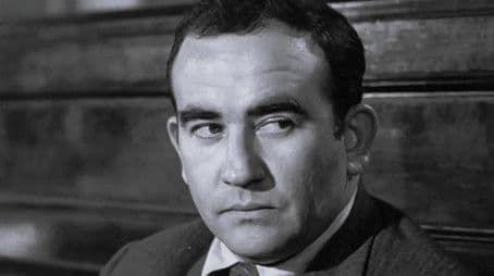 Welcome to the Wedding