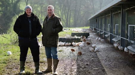 Wales to Lancashire - Chicken and Mushrooms