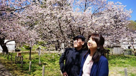 Matsumae Sakura edition