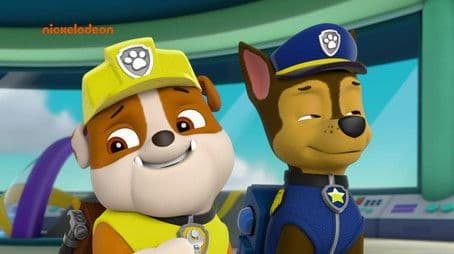 Sea Patrol: Pups Save the Pier