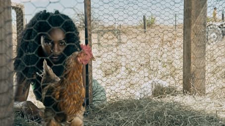 “The Day of The Girls”