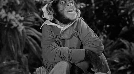 Voodoo Something To Me