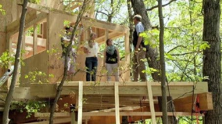 Vincent Van Treehouse