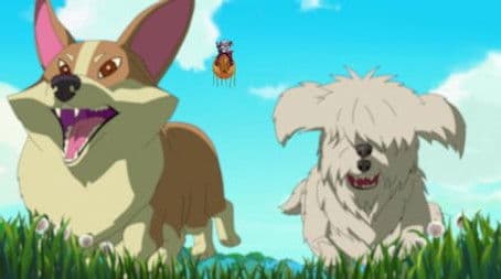 Beyond the Valley of the Dogs