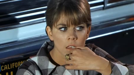 Log 062: Grand Theft Horse?