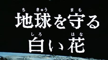 The White Flower That Protects Earth