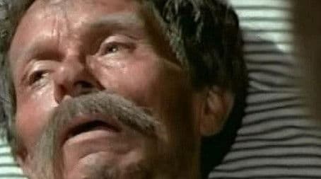 Point and Counterpoint