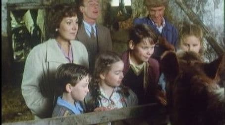 Ace, King, Queen, Jack