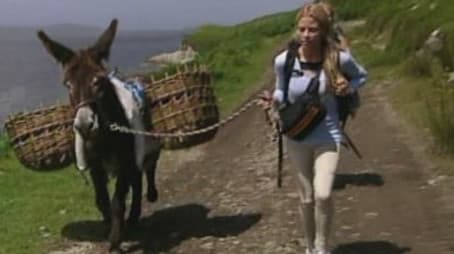 Donkeys Have Souls, Too