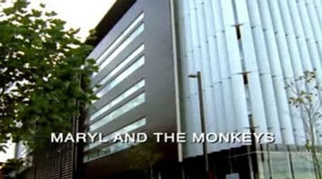Maryl and the Monkeys