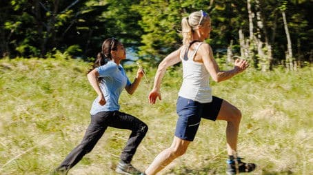 Wolf in lamb stew - part 2