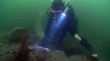 Don't Tell Me to Chillax!