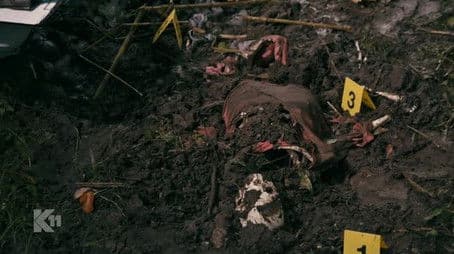 Greetings from a dead