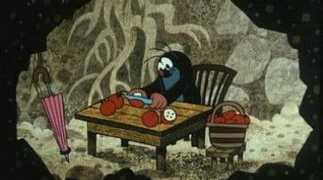 The Mole and the Mushrooms