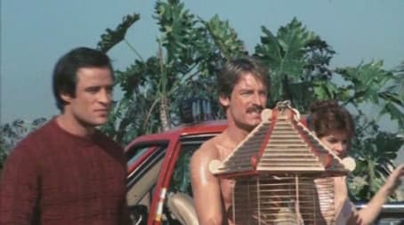 Polly Want an Explanation