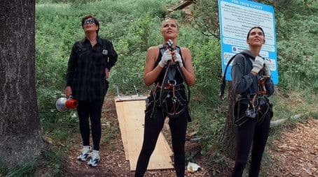 Cattle Drive Me Crazy